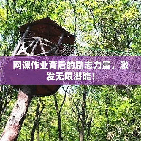 网课作业背后的励志力量，激发无限潜能！