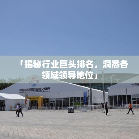 「揭秘行业巨头排名，洞悉各领域领导地位」