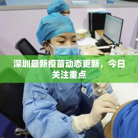深圳最新疫苗动态更新,今日关注重点