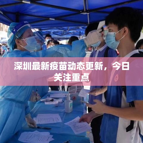 深圳最新疫苗动态更新,今日关注重点