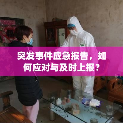 慌慌张张 第4页