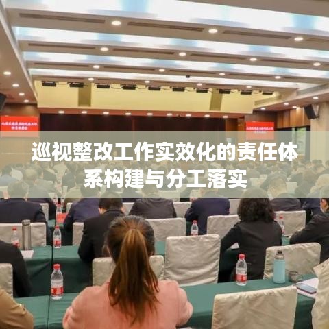 巡视整改工作实效化的责任体系构建与分工落实