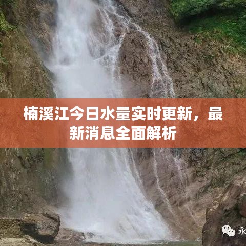 紫禁城 官方下载或我的勇士版本,数据支持计划设计&创意版1_v6.485