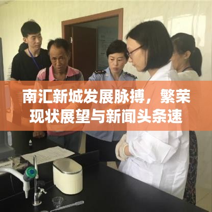 南汇新城发展脉搏,繁荣现状展望与新闻头条速递