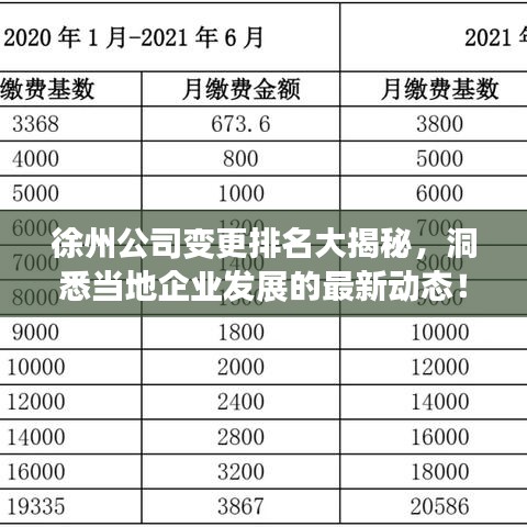 徐州公司变更排名大揭秘,洞悉当地企业发展的最新动态!