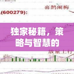 独家秘籍,策略与智慧的完美结合,无敌战法秘籍大全!