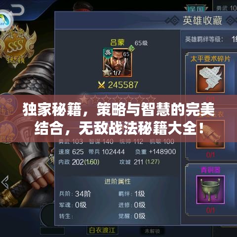 独家秘籍,策略与智慧的完美结合,无敌战法秘籍大全!