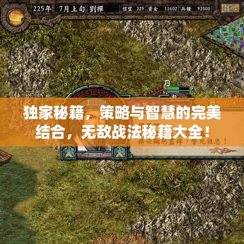 独家秘籍,策略与智慧的完美结合,无敌战法秘籍大全!