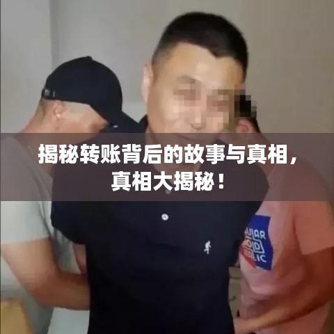 揭秘转账背后的故事与真相，真相大揭秘！