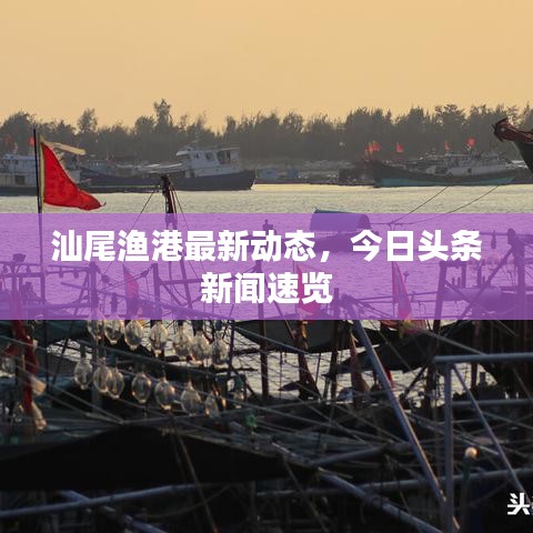 汕尾渔港最新动态,今日头条新闻速览