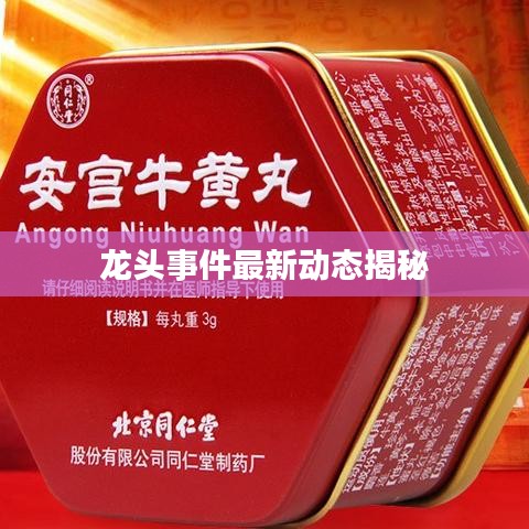 龙头事件最新动态揭秘