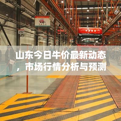 山东今日牛价最新动态，市场行情分析与预测