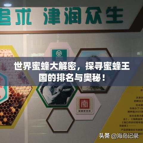 世界蜜蜂大解密,探寻蜜蜂王国的排名与奥秘!
