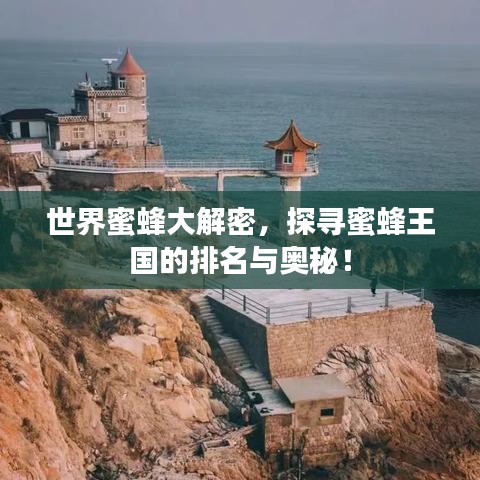 世界蜜蜂大解密,探寻蜜蜂王国的排名与奥秘!