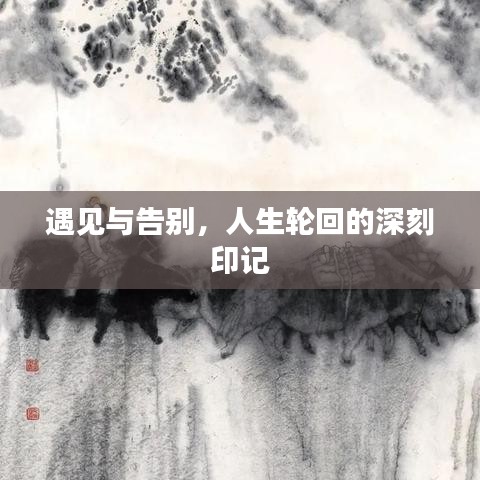 遇见与告别,人生轮回的深刻印记