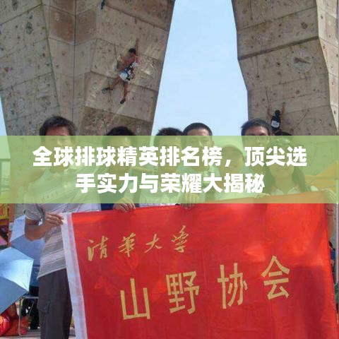 全球排球精英排名榜，顶尖选手实力与荣耀大揭秘