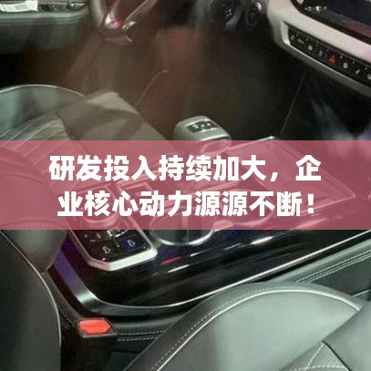 夯雀儿先飞 第6页