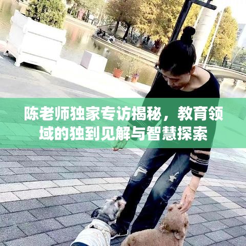 陈老师独家专访揭秘,教育领域的独到见解与智慧探索