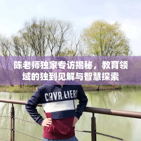 陈老师独家专访揭秘,教育领域的独到见解与智慧探索