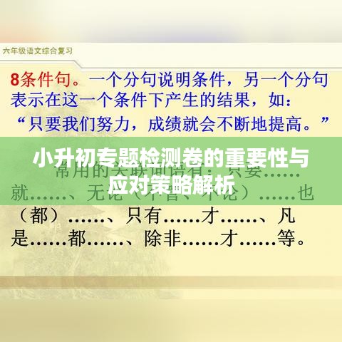 小升初专题检测卷的重要性与应对策略解析