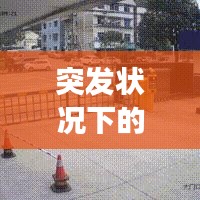 突发状况下的闯红灯现象，探究原因与应对策略