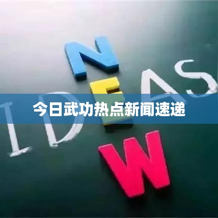 今日武功热点新闻速递