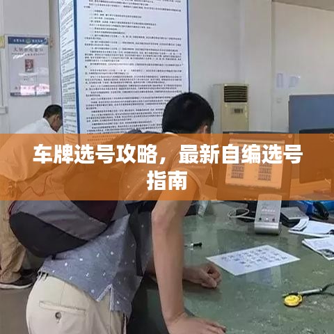 车牌选号攻略,最新自编选号指南