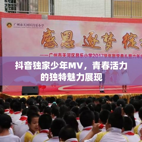 抖音独家少年MV,青春活力的独特魅力展现