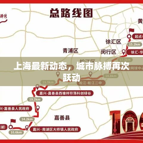 上海最新动态，城市脉搏再次跃动