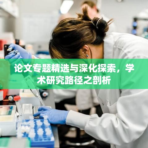 论文专题精选与深化探索,学术研究路径之剖析