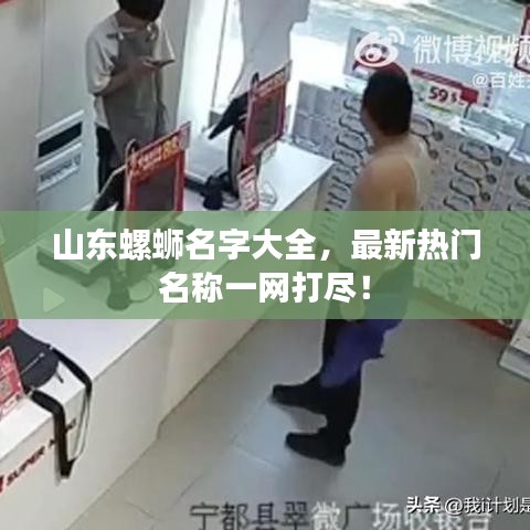 山东螺蛳名字大全,最新热门名称一网打尽!