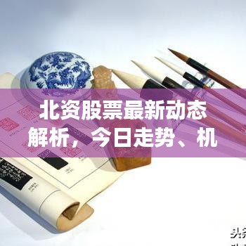 广告猎手官方下载,稳定评估计划方案-挑战版_v1.453