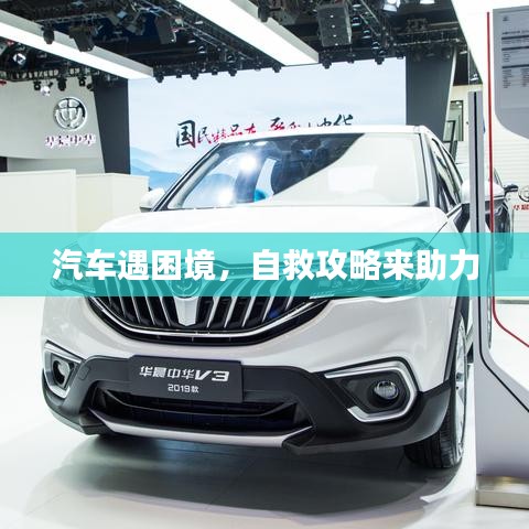 眼张失道 第7页