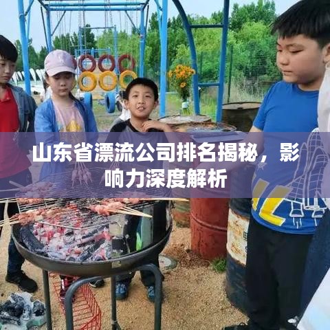 山东省漂流公司排名揭秘，影响力深度解析