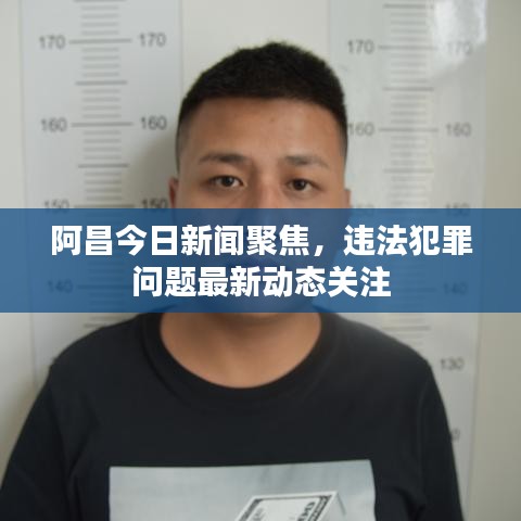 阿昌今日新闻聚焦，违法犯罪问题最新动态关注