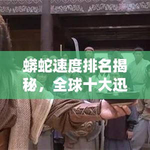 蟒蛇速度排名揭秘，全球十大迅猛蟒蛇榜单！