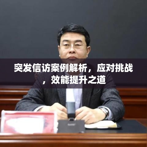突发信访案例解析,应对挑战,效能提升之道