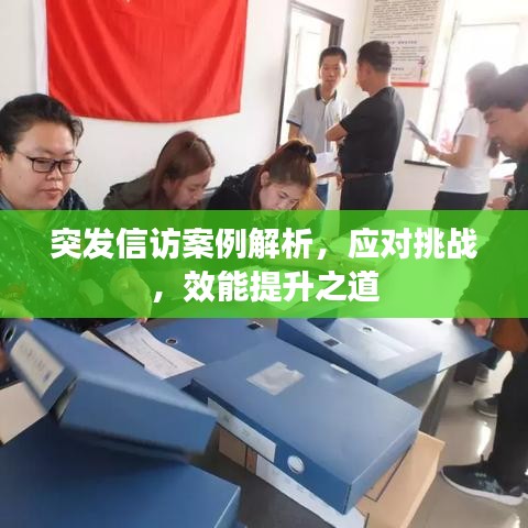 突发信访案例解析,应对挑战,效能提升之道