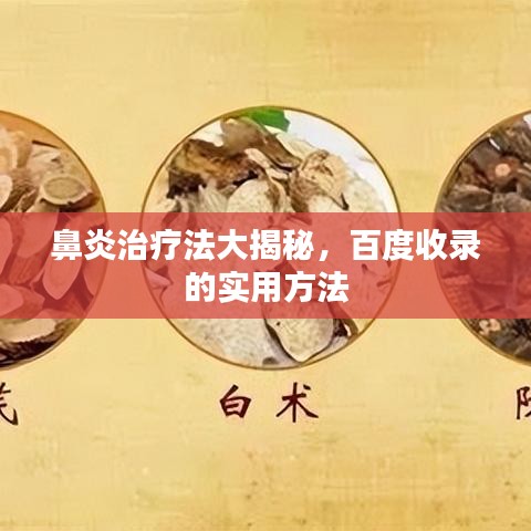 鼻炎治疗法大揭秘，百度收录的实用方法