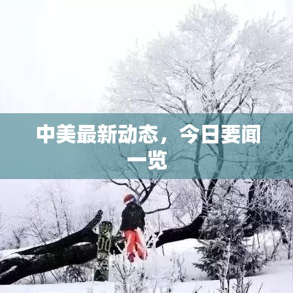 中美最新动态，今日要闻一览