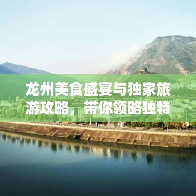 龙州美食盛宴与独家旅游攻略,带你领略独特风味!