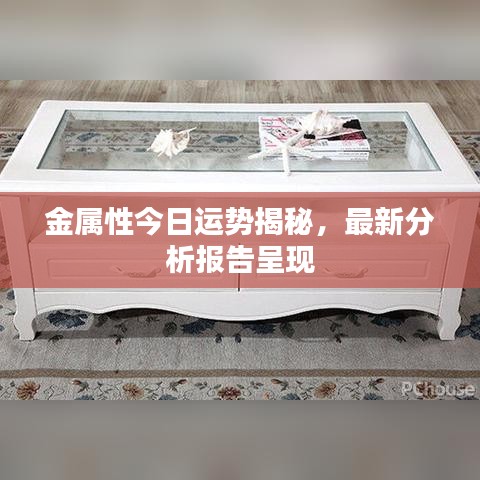 金属性今日运势揭秘,最新分析报告呈现