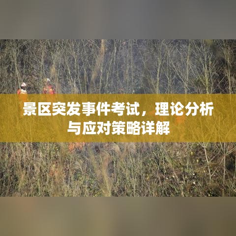 景区突发事件考试，理论分析与应对策略详解
