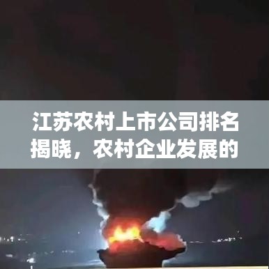 江苏农村上市公司排名揭晓,农村企业发展的崭新面貌大揭秘!