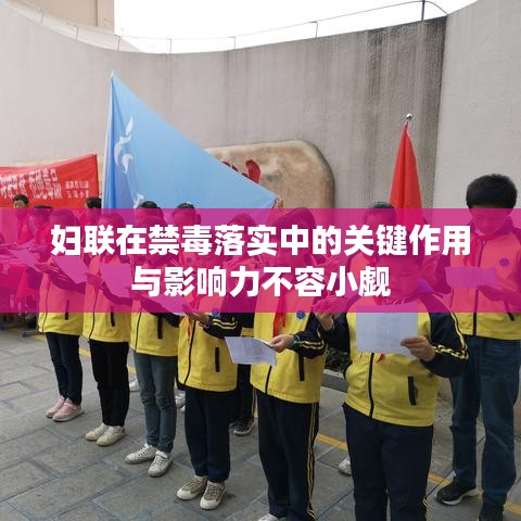 妇联在禁毒落实中的关键作用与影响力不容小觑