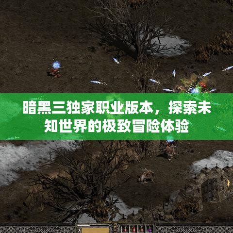 暗黑三独家职业版本,探索未知世界的极致冒险体验
