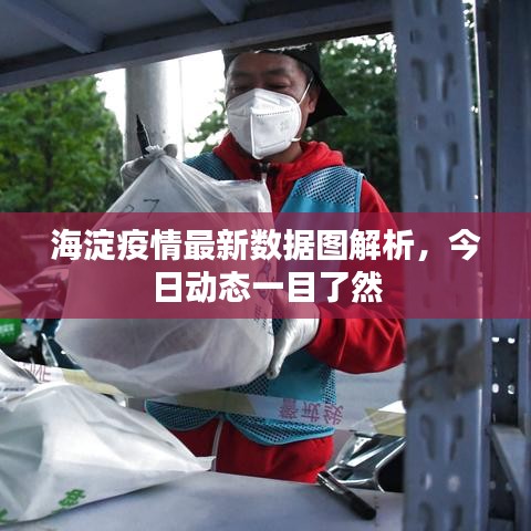 海淀疫情最新数据图解析，今日动态一目了然