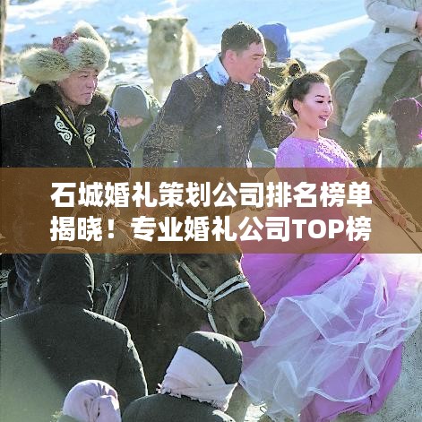 无人深空怎么看版本,快捷方案问题解决-eShop1_v2.946