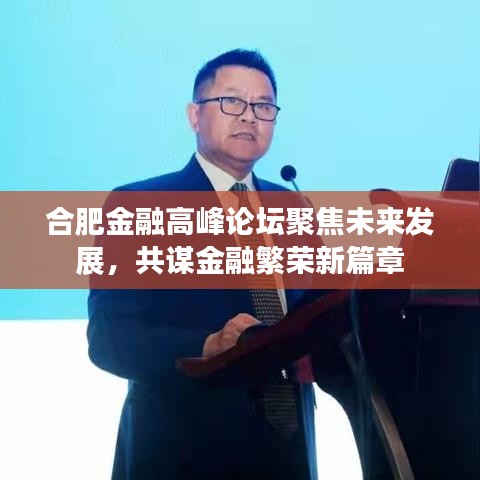 合肥金融高峰论坛聚焦未来发展,共谋金融繁荣新篇章