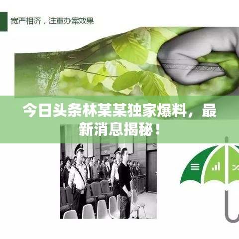 今日头条林某某独家爆料，最新消息揭秘！